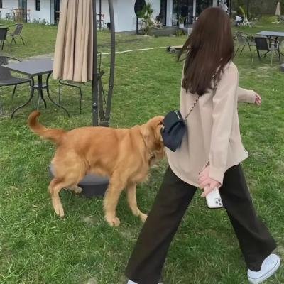 七个隐形人